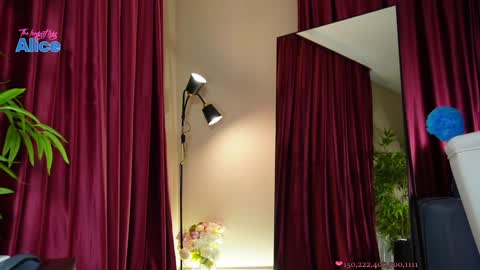 Alice   online show from December 13, 2:16 pm