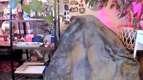 Goddess Pluto online show from January 8, 8:07 pm