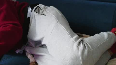 Snapshot of pokemon7ik chatting on January 26, 1:36 pm Karolina online show from January 26, 1:36 pm