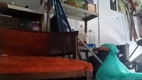 PipeLayerPlayer007 online show from September 14, 4:50 pm