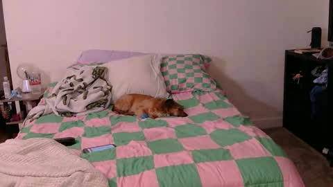 PAWG Pale Princess online show from October 19, 6:03 am