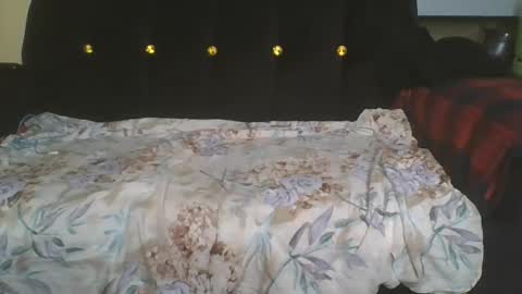 doll online show from November 19, 8:42 pm