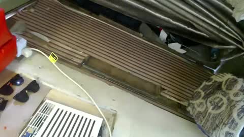  My Love online show from January 24, 6:03 am