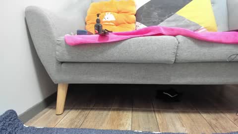 Snapshot of prittiditti chatting on January 22, 2:04 am PrittiDitti online show from January 22, 2:04 am