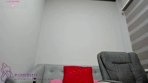 Snapshot of prittiditti chatting on February 14, 10:14 pm PrittiDitti online show from February 14, 10:14 pm