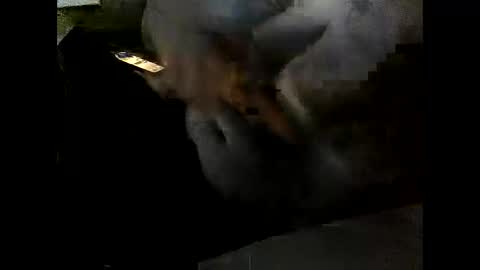 Clothingoptional online show from December 2, 6:03 pm