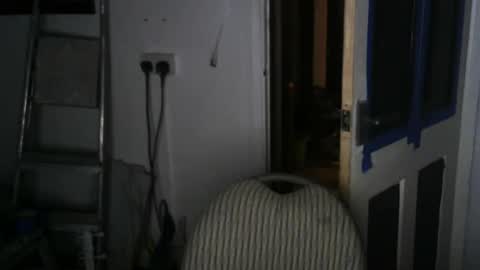 projectorepson online show from January 19, 6:32 pm