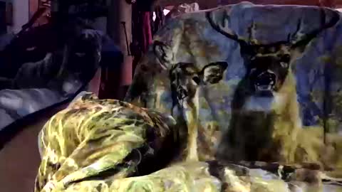 pumpslurrys online show from October 12, 11:26 pm