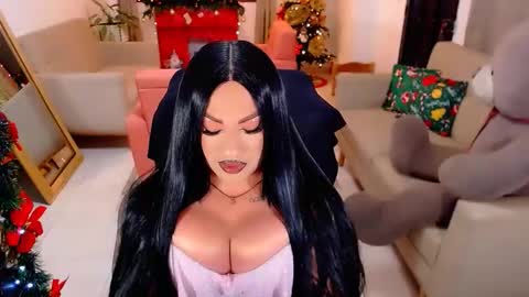 Snapshot of punisher9inchss chatting on December 16, 4:39 am online show from December 16, 4:39 am