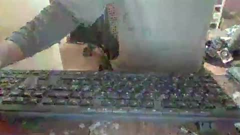 Snapshot of pup_y chatting on December 14, 6:56 pm pup_y online show from December 14, 6:56 pm