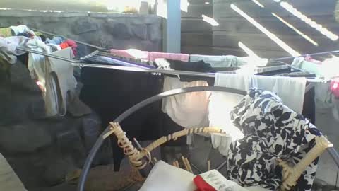 Python online show from January 10, 2:57 am