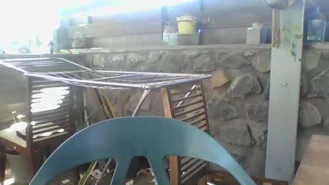 Python online show from November 29, 4:04 am