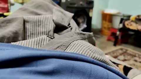 Raghav online show from December 1, 5:45 am