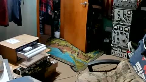 Randall online show from September 10, 1:44 pm