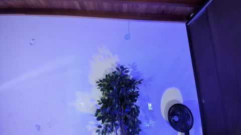 randy online show from November 29, 7:17 pm