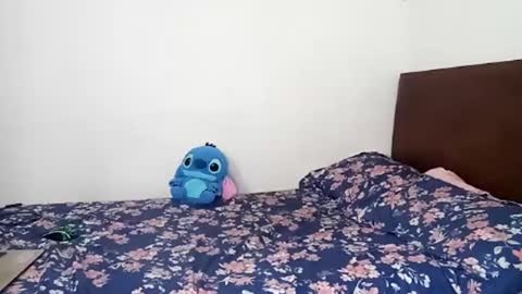 Rangel and Lola online show from February 24, 6:47 pm