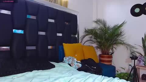 Snapshot of raydevil_ chatting on January 25, 6:57 pm Rayn online show from January 25, 6:57 pm