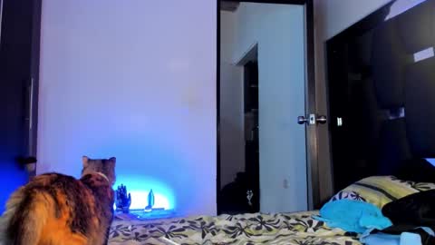 Snapshot of raydevil_ chatting on September 28, 9:42 pm Rayn online show from September 28, 9:42 pm