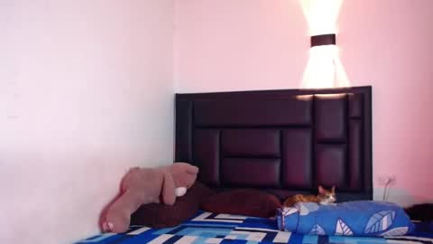 Snapshot of raydevil_ chatting on October 17, 7:33 am Rayn online show from October 17, 7:33 am