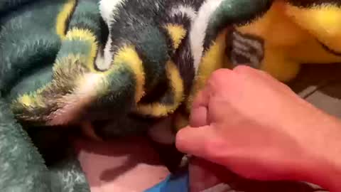 realbigload77 online show from October 11, 2:55 am