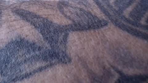 realrubpirate online show from January 18, 9:02 am