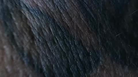 realrubpirate online show from September 26, 8:51 am