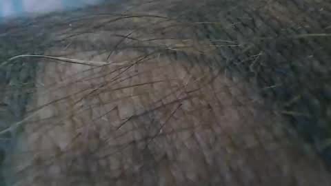 realrubpirate online show from October 19, 9:21 am