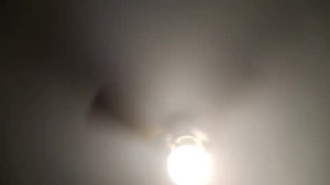 red24devils online show from January 4, 6:09 am