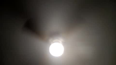 red24devils online show from January 16, 7:07 am