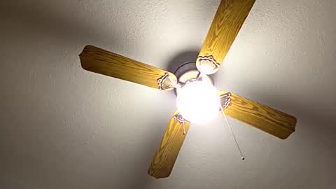 red24devils online show from September 22, 6:59 am