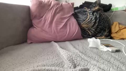 reyna77 online show from January 22, 9:46 am