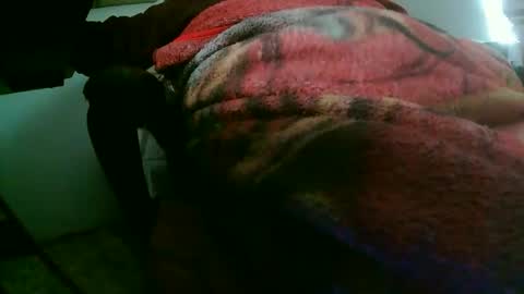 Snapshot of richard11268869 chatting on November 29, 12:52 pm richard11268869 online show from November 29, 12:52 pm