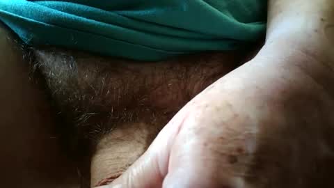 Always crusing cams online show from September 20, 5:14 pm