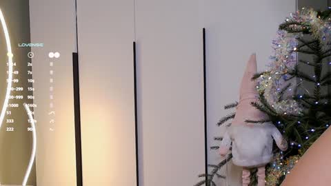 Rina online show from December 25, 8:29 am