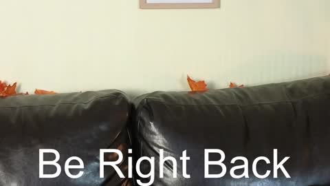 Alice online show from December 13, 11:02 am