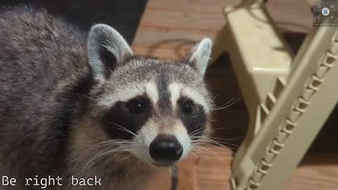 Ryan aka KeylimeRy online show from February 5, 5:53 pm