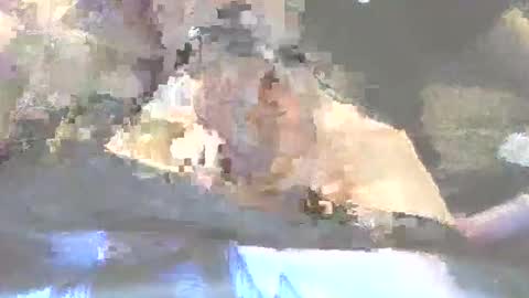 robertharley online show from December 2, 11:04 am