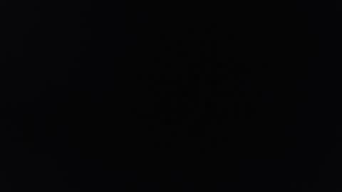 roctumx online show from November 26, 9:54 am