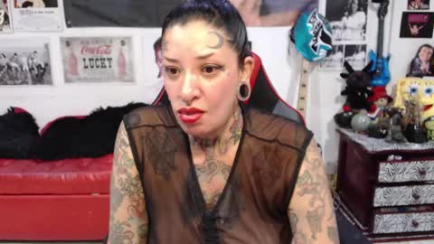 Rolly online show from December 15, 10:26 pm