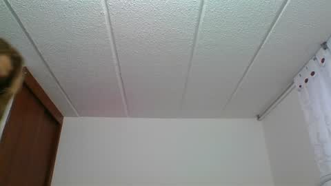 Rossana  online show from December 30, 10:23 pm