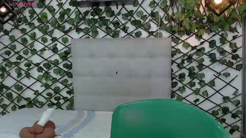 Rous online show from March 1, 6:35 am