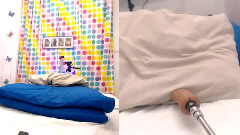 Daniells online show from March 7, 11:29 am