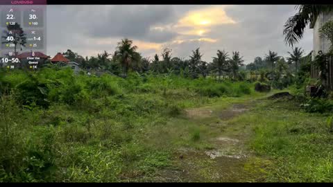 Paul online show from February 22, 7:25 pm