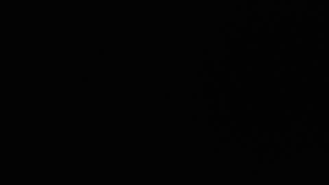 Ryushi009 online show from January 24, 3:32 am