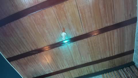 Sabrina online show from January 24, 5:42 am