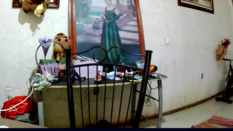 ruby  chocoholic cakeholic coffeeholic cookieholic online show from October 2, 9:11 pm