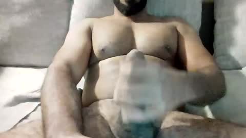 SD17 online show from November 10, 2:38 pm