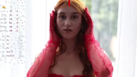 Snapshot of sallybiscuit chatting on December 19, 4:46 pm Sally online show from December 19, 4:46 pm