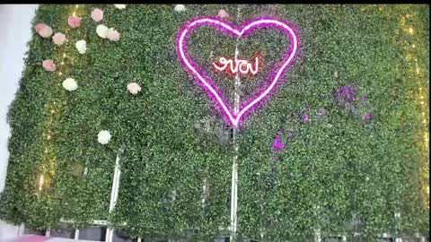 salome online show from January 25, 10:50 pm