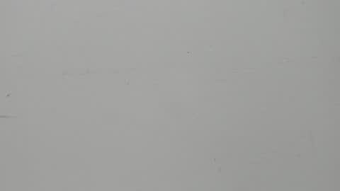 SALVATORE online show from February 5, 11:23 am